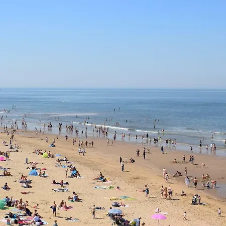 The Royal Ii - R.q.c. * デン・ハーグ