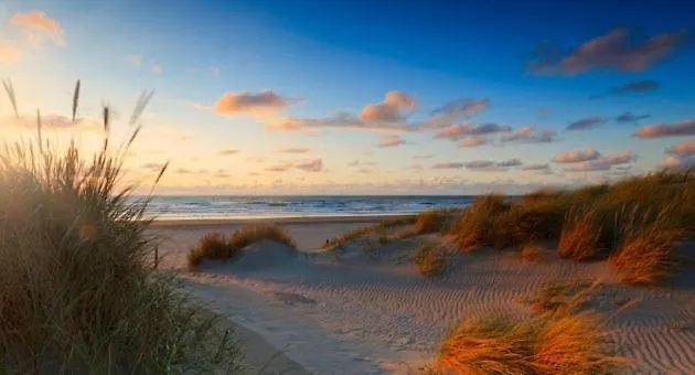 The Royal Ii - R.q.c. דירה האג